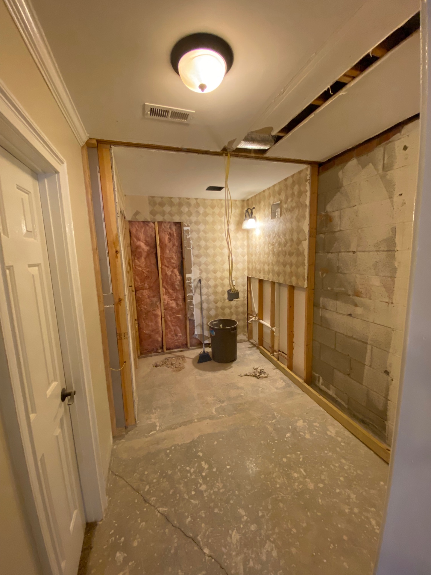 Bathroom Renovation — before